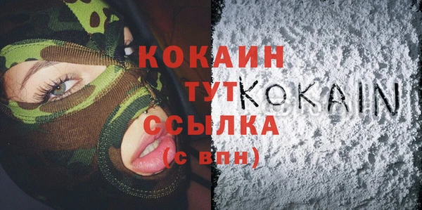 спиды Каменка