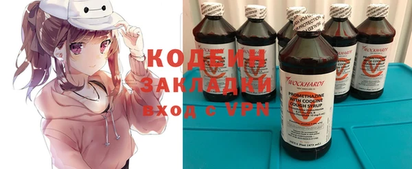 спиды Каменка