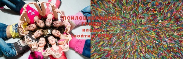 эйфоретик Каменногорск