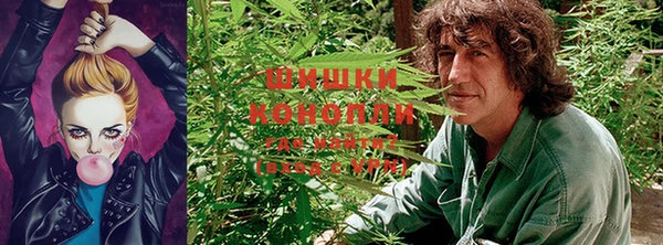 эйфоретик Каменногорск
