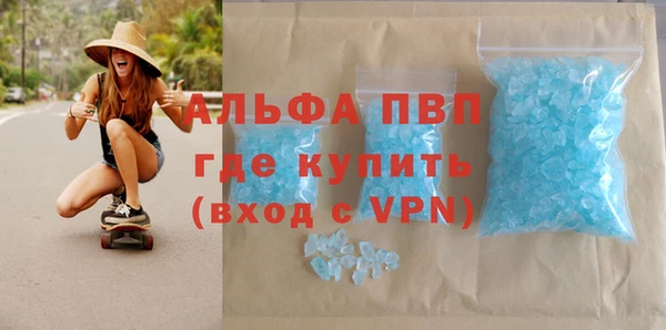 спиды Каменка