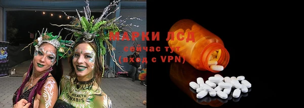 спиды Каменка