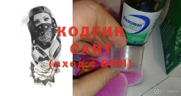 спиды Каменка