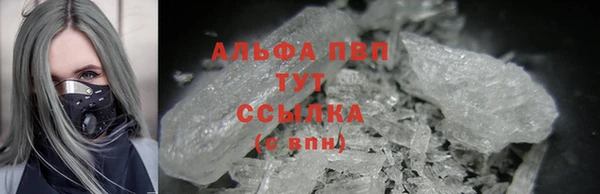 эйфоретик Каменногорск