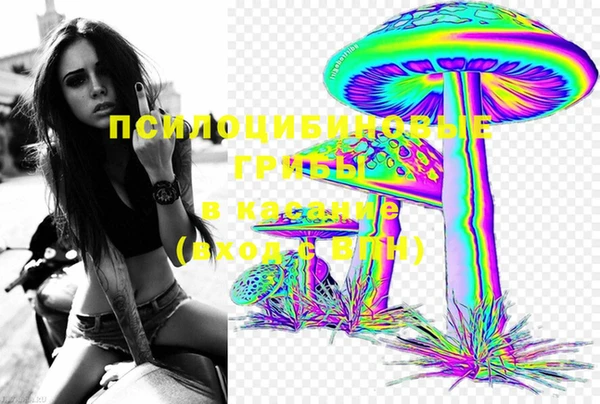 эйфоретик Каменногорск