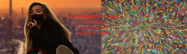 спиды Каменка