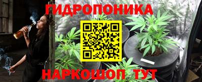 прущие крисы Дубна