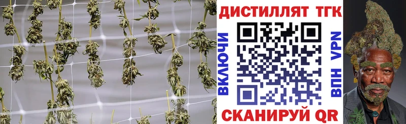 blacksprut как зайти  Лысьва  ТГК вейп 