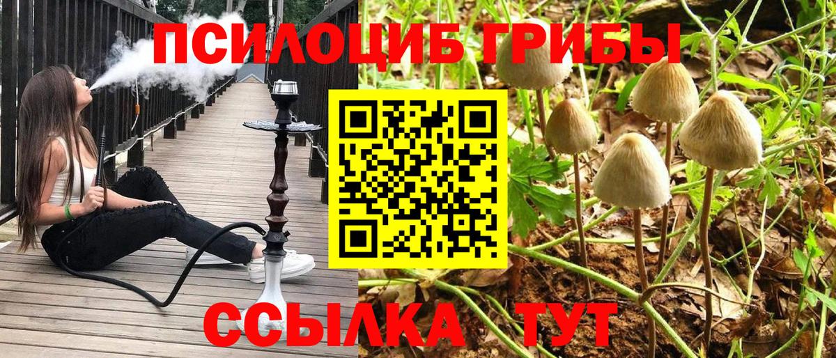 Псилоцибиновые грибы мицелий Лысьва